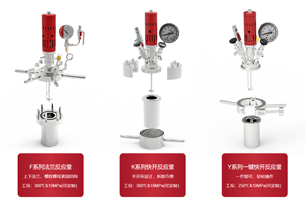 HT-HP-100 高压反应釜