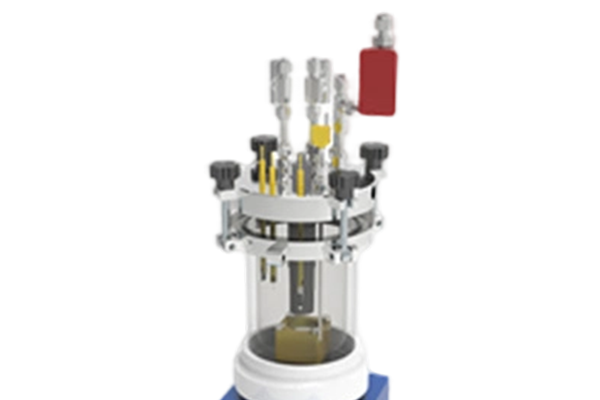 HT-HP-100 高压反应釜