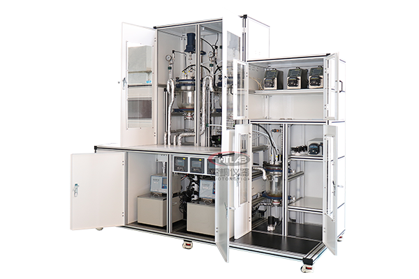 HT-HP-100 高压反应釜